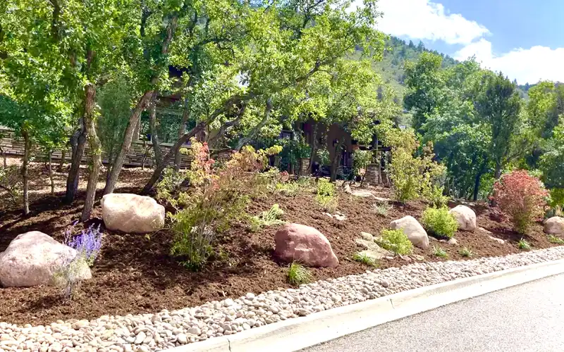 Garden clean up and maintenance in Durango