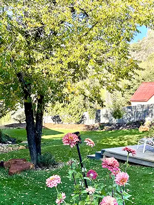 rustic flower bed with lawn in Durango
