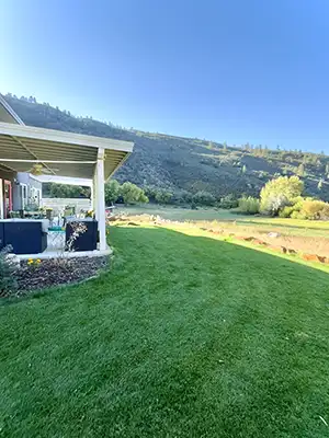 Grass lawn in Durango